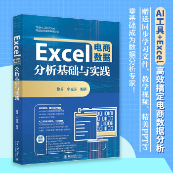  Excel电商数据分析基础与实践