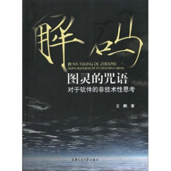 《解码图灵的咒语：对于软件的非技术性思考》[61M]百度网盘|pdf下载|亲测有效