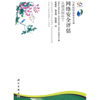 《世纪信息安全大系·网络安全评估：从漏洞到补丁》[90M]百度网盘|pdf下载|亲测有效