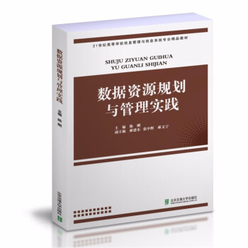 《数据资源规划与管理实践》[80M]百度网盘|pdf下载|亲测有效