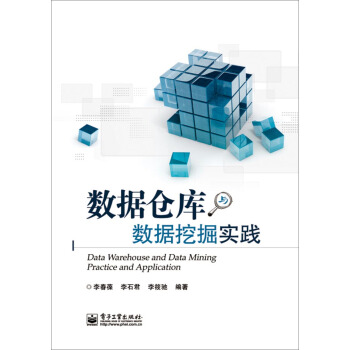 《数据仓库与数据挖掘实践》[68M]百度网盘|pdf下载|亲测有效