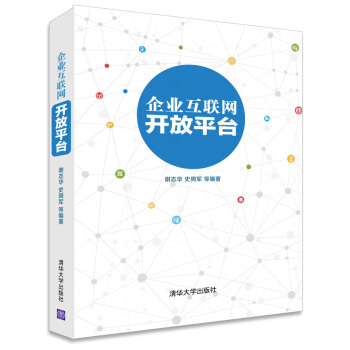 《企业互联网开放平台》[46M]百度网盘|pdf下载|亲测有效