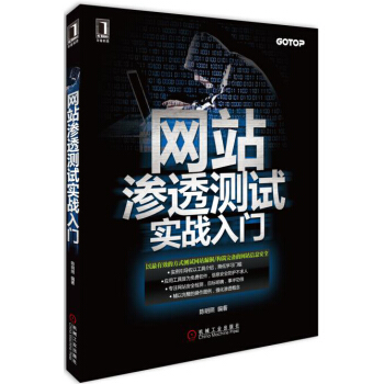 《网站渗透测试实战入门》[71M]百度网盘|pdf下载|亲测有效