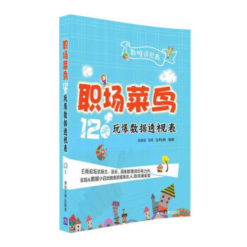 《职场菜鸟天玩爆数据透视表》[87M]百度网盘|pdf下载|亲测有效
