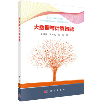 《大数据与计算智能》[80M]百度网盘|pdf下载|亲测有效