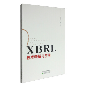 《XBRL技术精解与应用》[88M]百度网盘|pdf下载|亲测有效