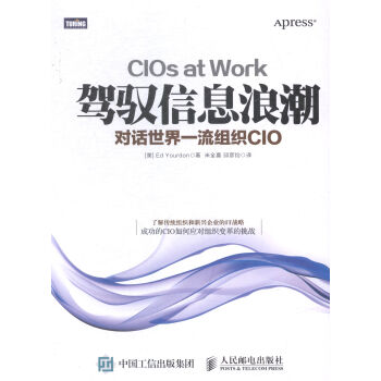 《驾驭信息浪潮-对话组织CIO》[45M]百度网盘|pdf下载|亲测有效