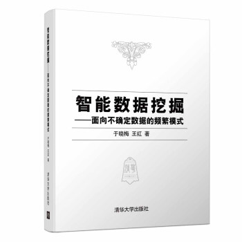 《智能数据挖掘面向不确定数据的频繁模式》[53M]百度网盘|pdf下载|亲测有效