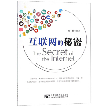 《互联网的秘密》[65M]百度网盘|pdf下载|亲测有效