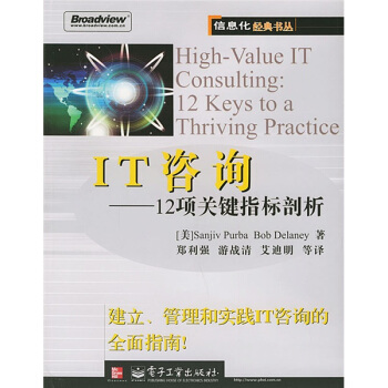 《IT咨询：项关键指标剖析》[54M]百度网盘|pdf下载|亲测有效