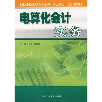 《电算化会计实务》[79M]百度网盘|pdf下载|亲测有效