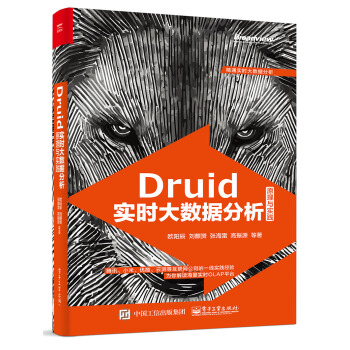 《Druid实时大数据分析原理与实践》[60M]百度网盘|pdf下载|亲测有效
