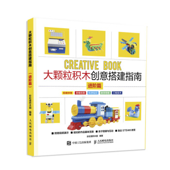 《大颗粒积木创意搭建指南》[48M]百度网盘|pdf下载|亲测有效