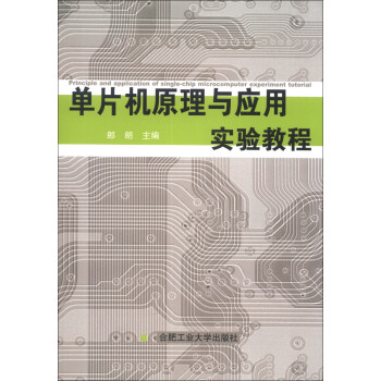 《单片机原理与应用实验教程》[94M]百度网盘|pdf下载|亲测有效