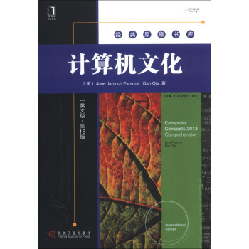 《经典原版书库：计算机文化》[99M]百度网盘|pdf下载|亲测有效
