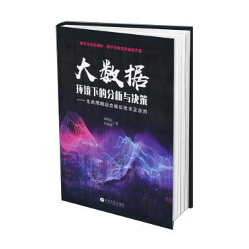 《大数据环境下的分析与决策：生命周期动态模拟技术及应用》[25M]百度网盘|亲测有效|pdf下载