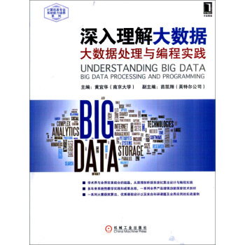 深入理解大数据：大数据处理与编程实践pdf下载pdf下载