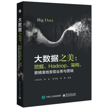 《大数据之美：挖掘、Hadoop、架构，更精准地发现业务与营销》[26M]百度网盘|亲测有效|pdf下载