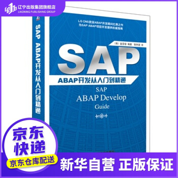 SAPABAP开发从入门到精通机工出版pdf下载pdf下载