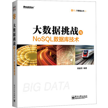 《大数据挑战与NoSQL数据库技术》[45M]百度网盘|亲测有效|pdf下载